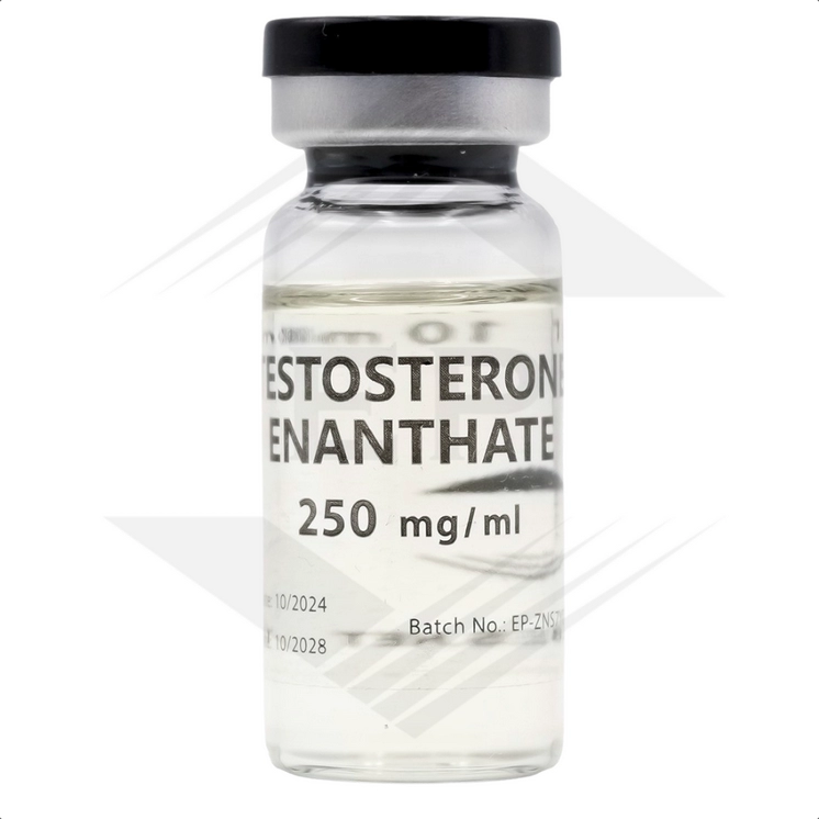 Testosterone Enanthate 250